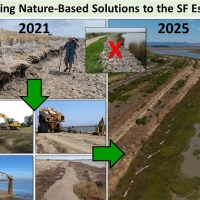 collage showing nature based solutions in SF bay